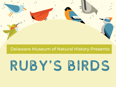 Delaware Museum of Natural History