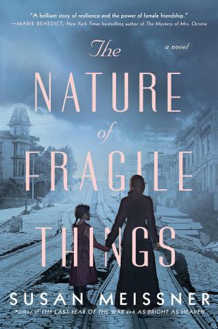 Image of the cover for the book "The Nature of Fragile Things" by Susan Meissner.