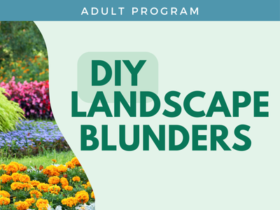 DIY Landscape Blunders