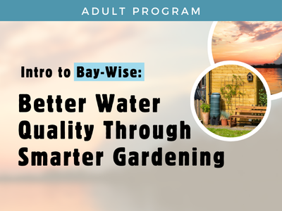Intro to Bay-Wise: Better Water Quality Through Smarter Gardening