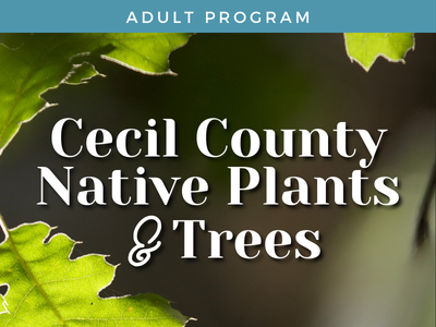 Cecil County Native Plants & Trees