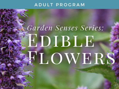 Garden Senses Series: Edible Flowers
