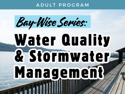 Bay-Wise Series: Water Quality and Stormwater Management 