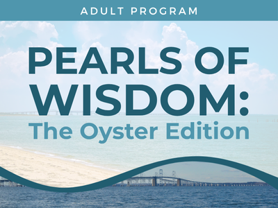 Pearls of Wisdom: The Oyster Edition